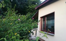 Ferienhaus am Wald
